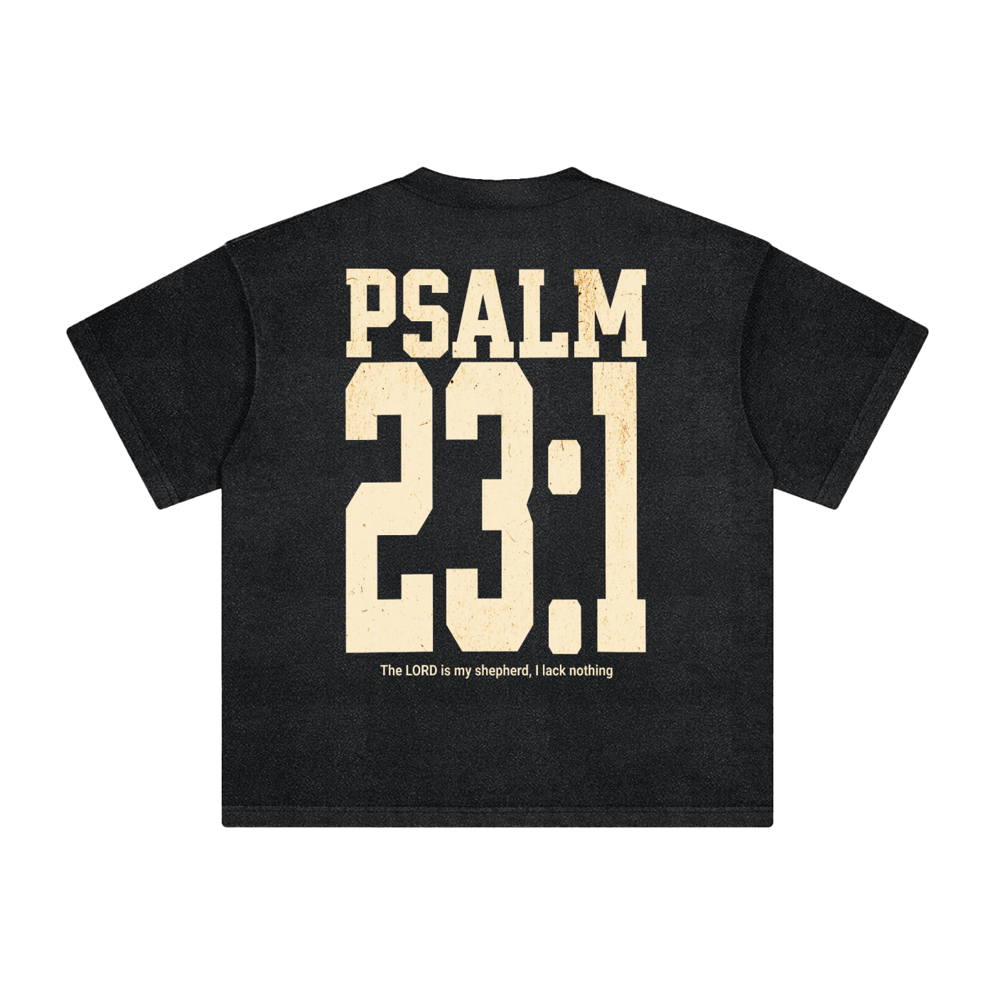 Psalm 23:1 Vintage Washed Tee