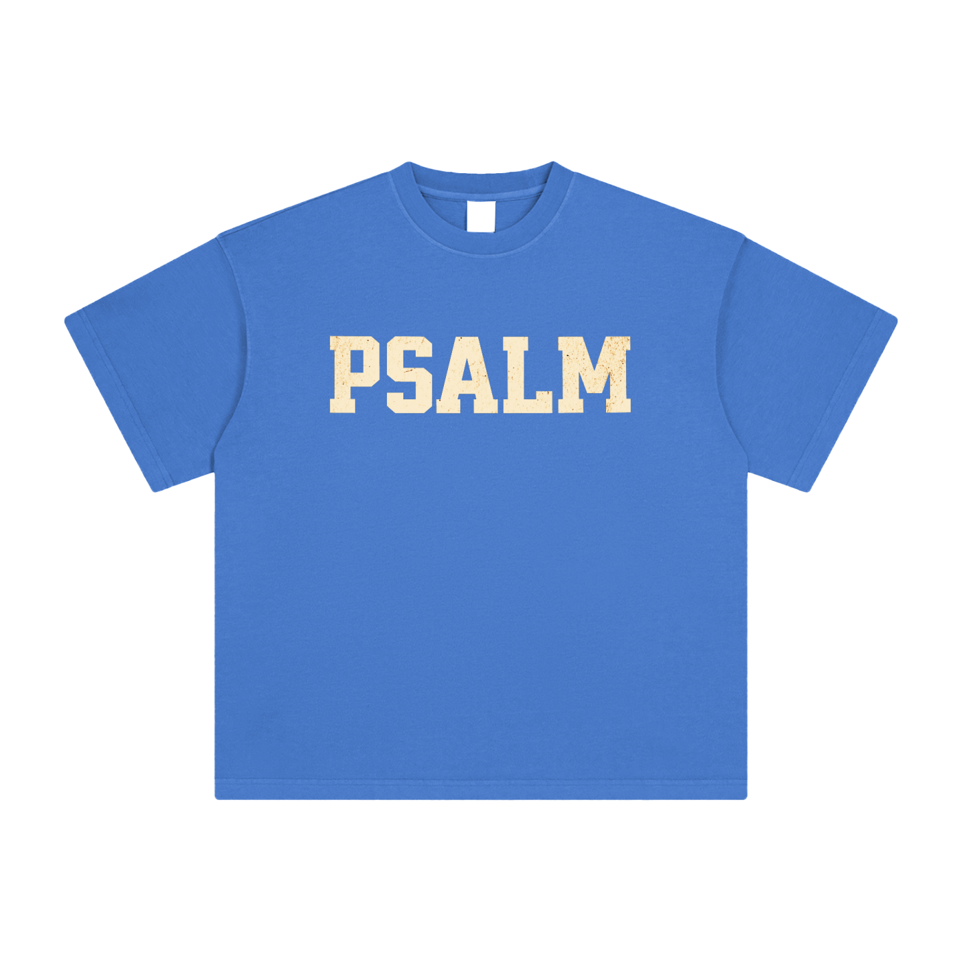 Psalm 23:1 Vintage Washed Tee