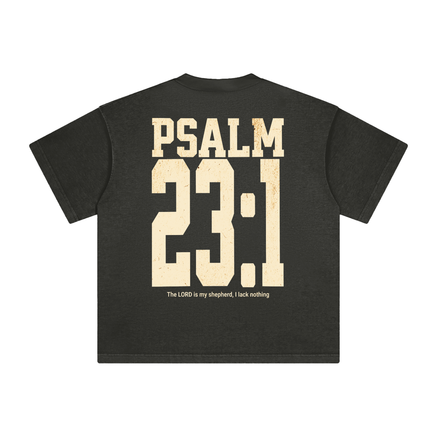 Psalm 23:1 Vintage Washed Tee