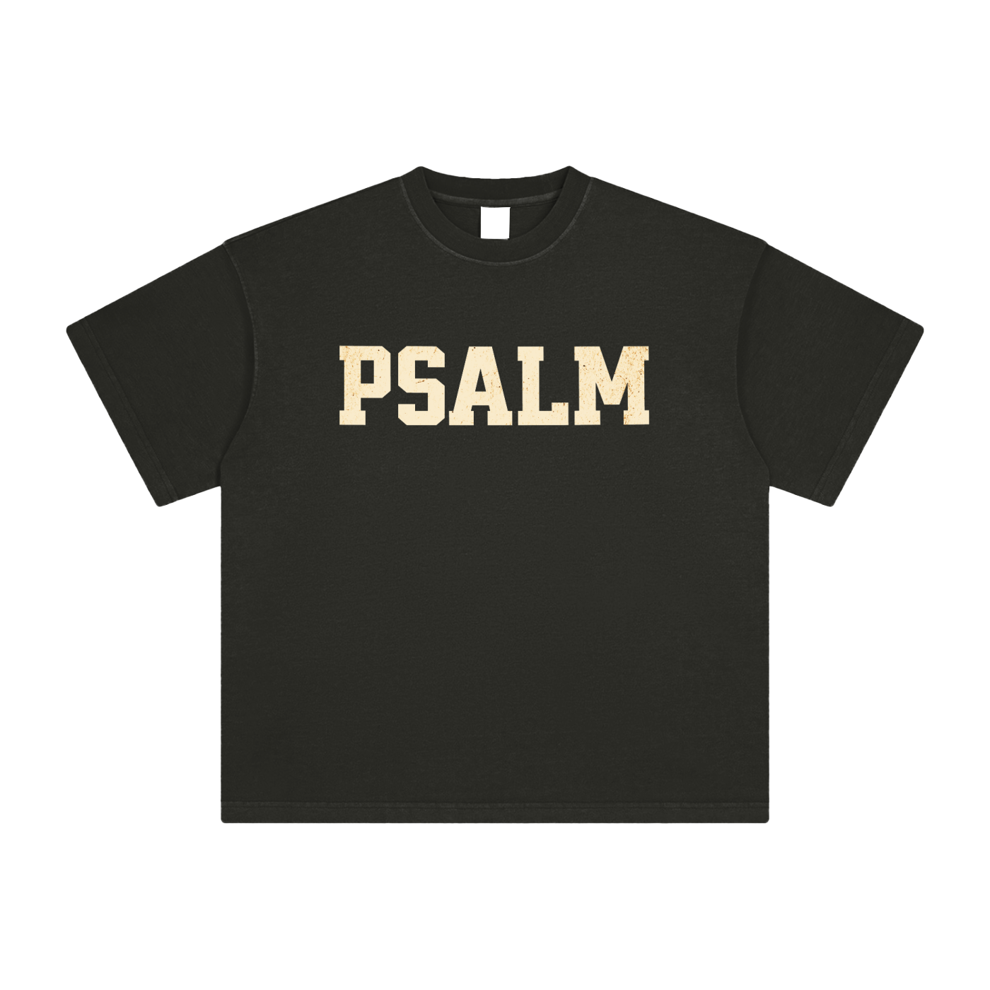 Psalm 23:1 Vintage Washed Tee